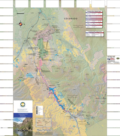 Gunnison River - Fish Colorado Preview 1