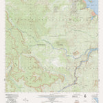 Casuarina (4469-3) Preview 1