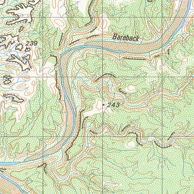 Bareback (4763-4) Preview 3