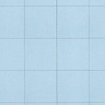 Nassau River (7166-2) Preview 2