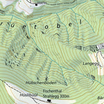 Fischenthal, 1:10,000 Preview 3