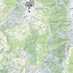 Alpthal, 1:10,000 Preview 1