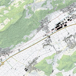 Oensingen, 1:10,000 Preview 1