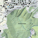 Gommiswald, 1:10,000 Preview 3