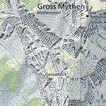 Schwyz, 1:10,000 Preview 3