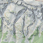 Morschach, 1:10,000 Preview 3