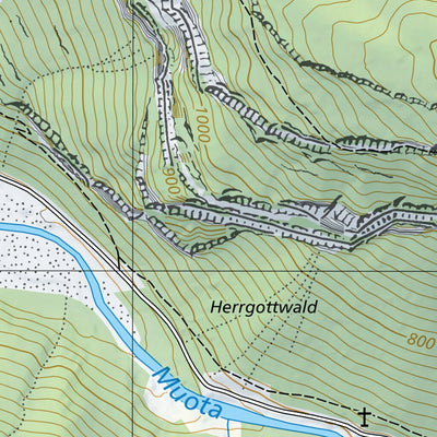 Muotathal 1, 1:10,000 Preview 2