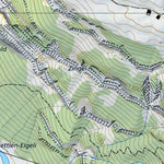 Muotathal 1, 1:10,000 Preview 3