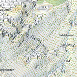 Erstfeld, 1:10,000 Preview 3