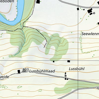 Erlenbach im Simmental, 1:10,000 Preview 2