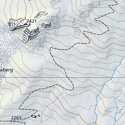 Davos 4, 1:10,000 Preview 2