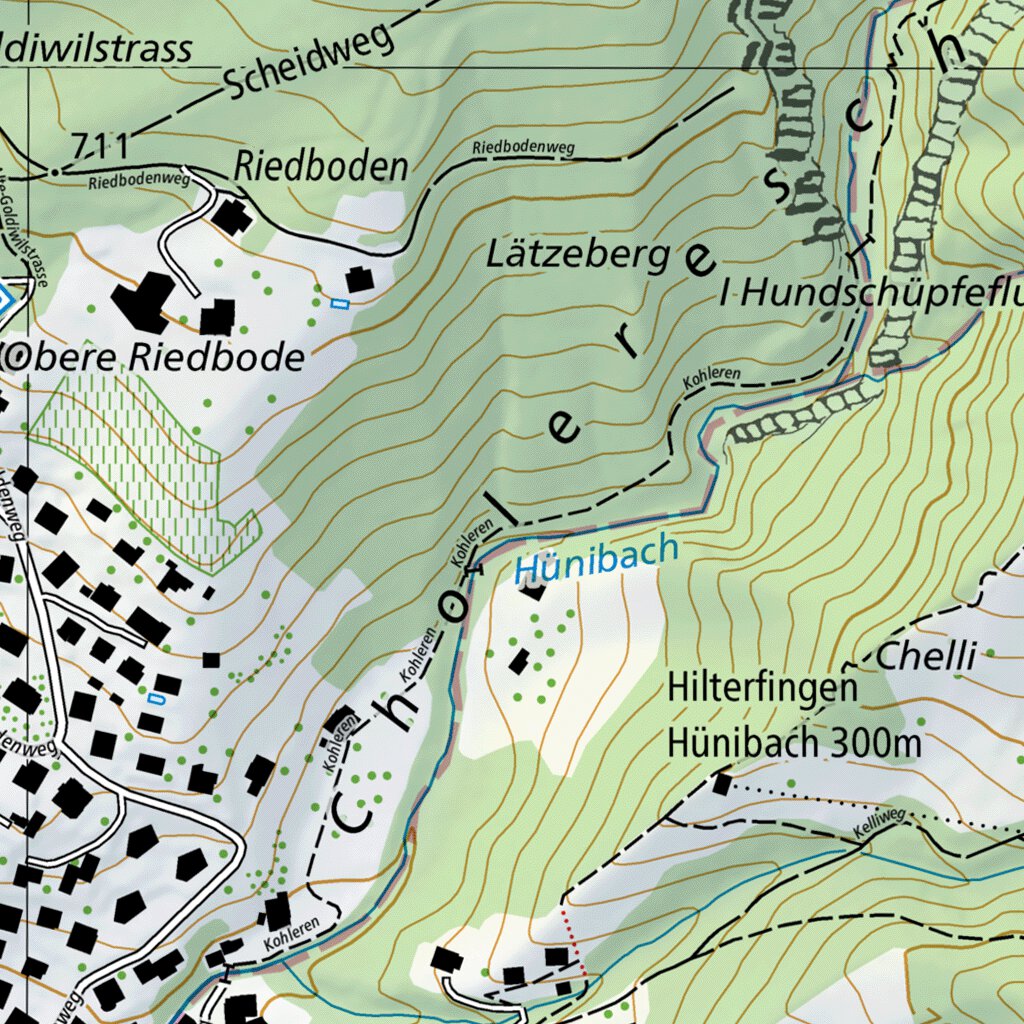 Thun, 1:10,000 Map by SwissTopo | Avenza Maps