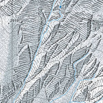Fieschertal 1, 1:10,000 Preview 3