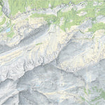 Meiringen, 1:10,000 Preview 1