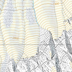 Meiringen, 1:10,000 Preview 2