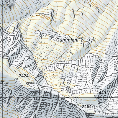 Meiringen, 1:10,000 Preview 3