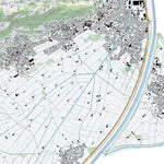 Diepoldsau 1, 1:10,000 Preview 1