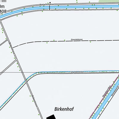 Diepoldsau 1, 1:10,000 Preview 2