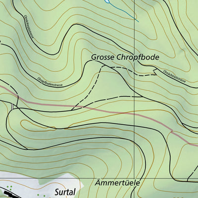 Oberkulm, 1:10,000 Preview 3