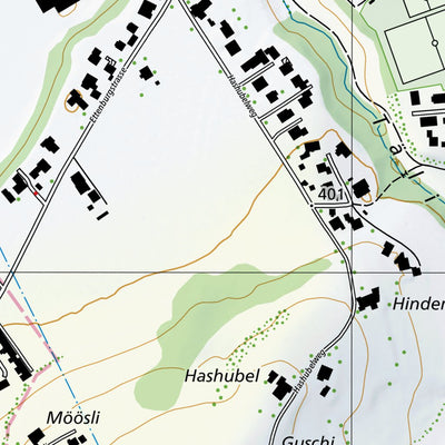 Walterswil, 1:10,000 Preview 2