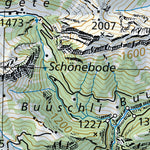 Saane / Sarine, 1:100,000 Preview 3