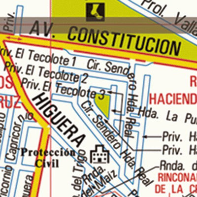 Tlajomulco de Zúñiga / Centro / Calles Preview 3