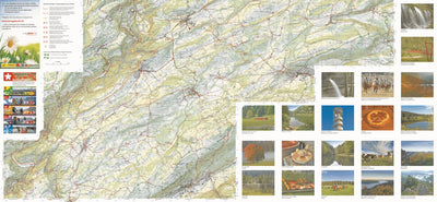 Franches-Montagnes Freiberge South Preview 1
