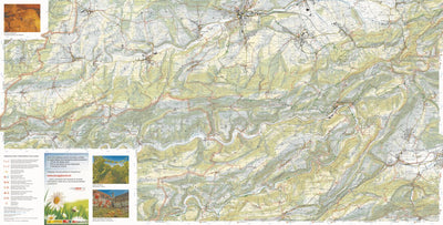 Ajoie South Preview 1