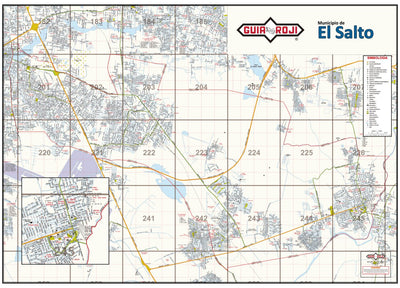 El Salto/ Municipio / Calles Preview 1