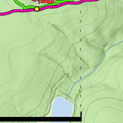 Lynch's Woods Passage of the Palmetto Trail Preview 2