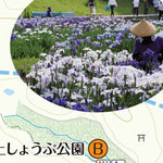 002東青梅コース Preview 3