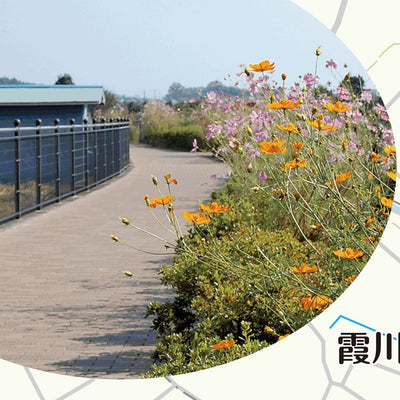 005大門・今寺コース Preview 3