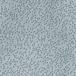 Badger Pass Resort Preview 3