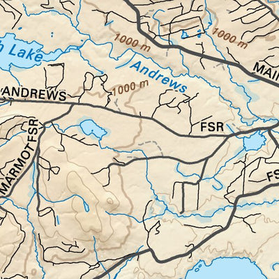 NOBC06 Noralee - Northern BC Topo Preview 2