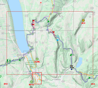 MFHL - Montour Falls Preview 2