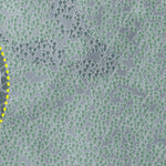 Mt Jefferson Resort Preview 3