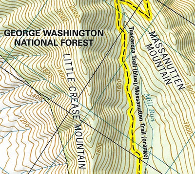 Hike 31: Veach Gap/Morgan’s Road in the George Washington & Jefferson National Forest Preview 2