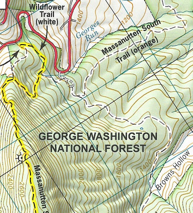 Hike 40: Emerald Pond in the George Washington & Jefferson National Forest Preview 2