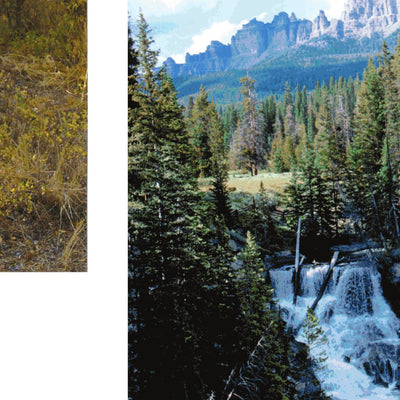 Shoshone National Forest Visitor Map (South Half) - Wind River & Washakie RDs (North Area) Preview 3