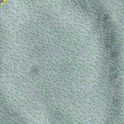 Buffalo Ski Center Resort Preview 3