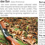 Eastern PA All-Outdoors Atlas & Field Guide pg. 018-019 Preview 3