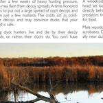 Eastern PA All-Outdoors Atlas & Field Guide pg. 022-023 Preview 3