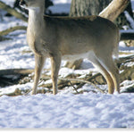 Eastern PA All-Outdoors Atlas & Field Guide pg. 016-017 Preview 3