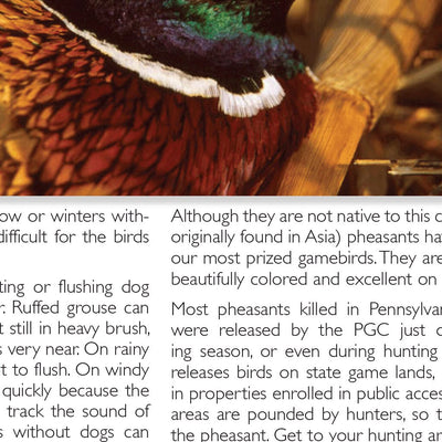 Eastern PA All-Outdoors Atlas & Field Guide pg. 020-021 Preview 3