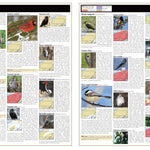 Eastern PA All-Outdoors Atlas & Field Guide pg. 042-043 Preview 1