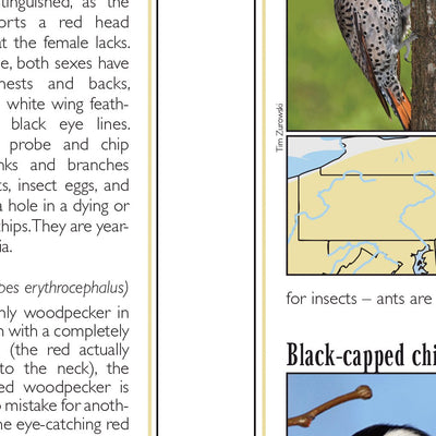 Eastern PA All-Outdoors Atlas & Field Guide pg. 042-043 Preview 2