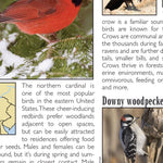 Eastern PA All-Outdoors Atlas & Field Guide pg. 042-043 Preview 3