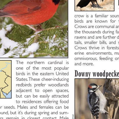 Eastern PA All-Outdoors Atlas & Field Guide pg. 042-043 Preview 3