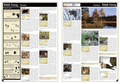Eastern PA All-Outdoors Atlas & Field Guide pg. 038-039 Preview 1
