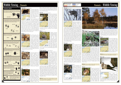 Eastern PA All-Outdoors Atlas & Field Guide pg. 038-039 Preview 1